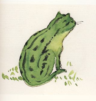 Chat - grenouille - Hermann Rorschach Berne